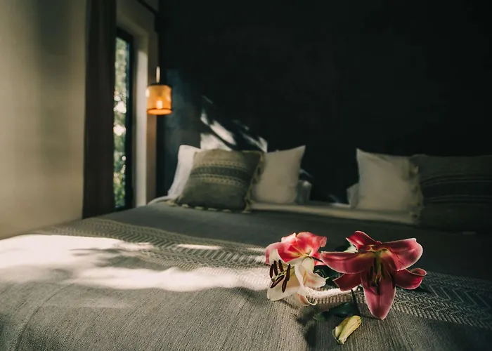Yum Kaax Boutique Hotel Tulum